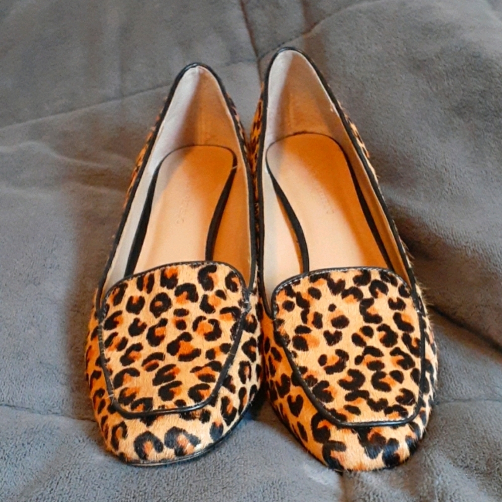 Cheetah print 2in heels